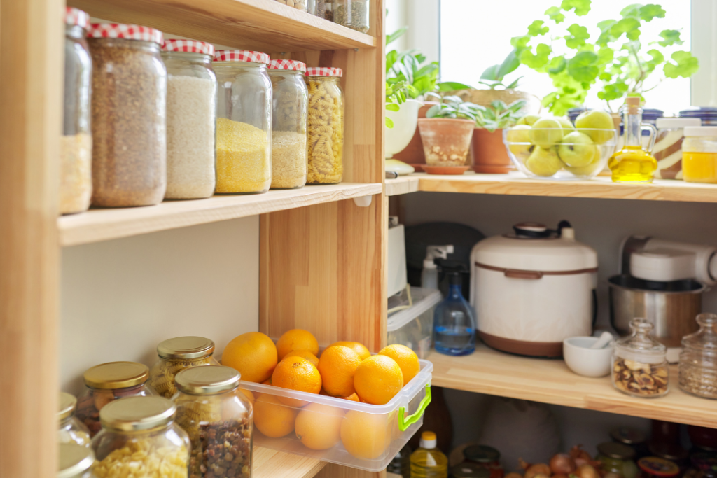 Non-Toxic Food Storage Containers